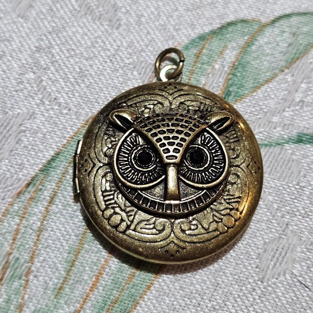 whimsigoth witchy bronze tone owl locket